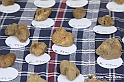 VBS_1392 - Fiera Nazionale del Tartufo e dei Santi 2022